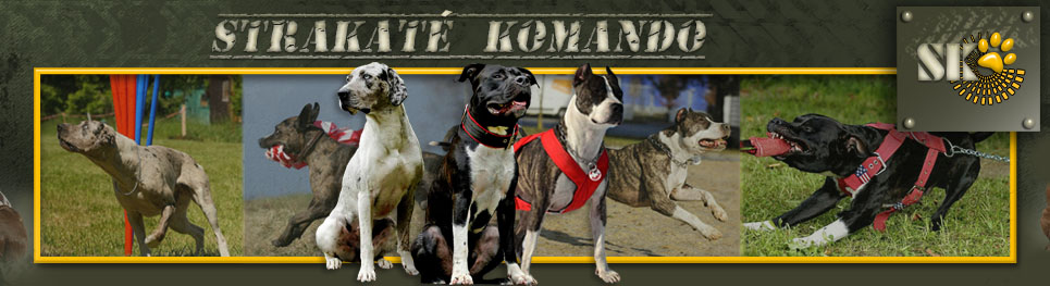 Strakaté komando